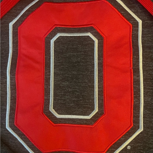 #274 Ohio State buckeyes Scarlet and gray college hoodie - Picture 4 of 12